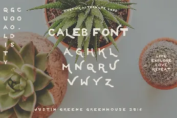 Caleb Free font