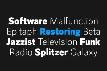 RNS Sanz Sans Typeface Family font