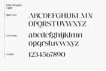 Voire Serif Family font