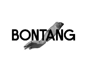 Bontang Sans Serif Typeface font