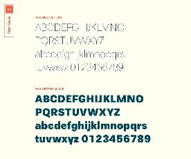 Paul Grotesk font