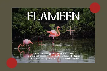 Flameen font