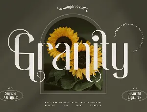 Granity font
