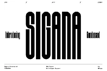 Sigana Display Sans font