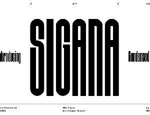 Sigana Display Sans font