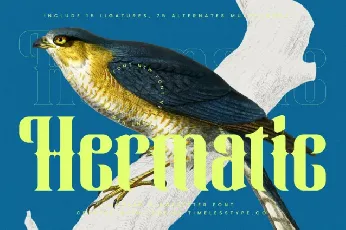 Hermatic Display font