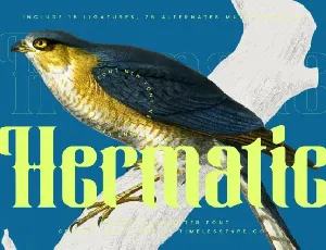 Hermatic Display font