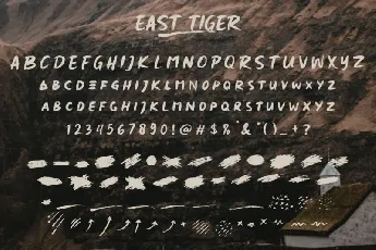 East Tiger font