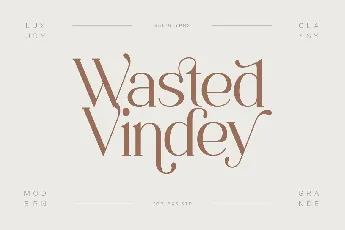 Wasted Vindey font