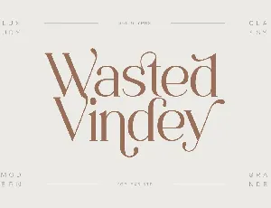 Wasted Vindey font