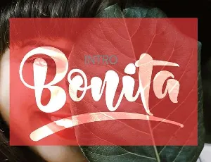 Bonita font