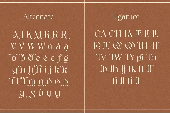 Agina font