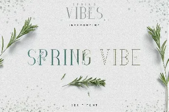 SpringVibe font