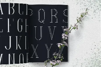 SpringVibe font