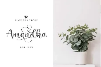 Marilyne Calligraphy font