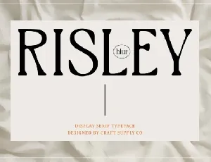 Risley Blur font