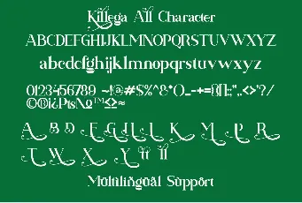 Killega Modern Serif Typeface font