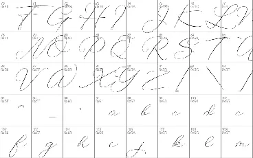 Botterill Signature font