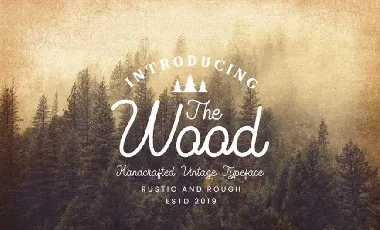 The Wood Vintage Monoline Script font