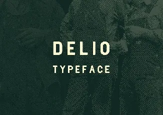 Delio Typeface font