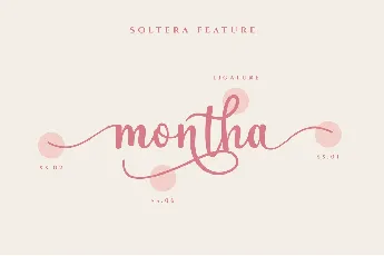 Soltera font