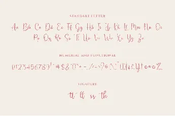 Soltera font