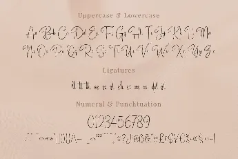 Adigussto font