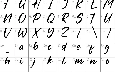 Fortune font