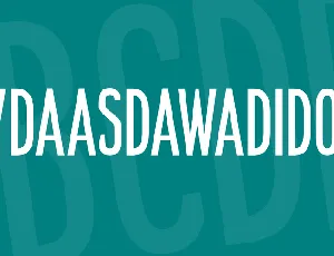 NVDAASDAWADIDOHI font