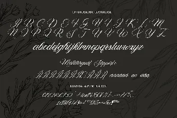 Vagentha Calligraphy font