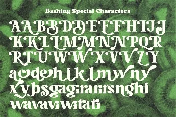 Bashing DEMO font