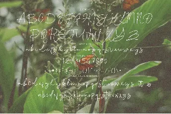 Lindgen Signature font