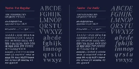 Native Txt font