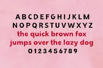 Chonky Cat font