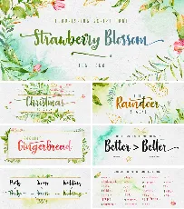 Strawberry Blossom Free font