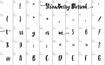 Strawberry Blossom Free font