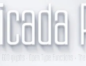 Ubicada font