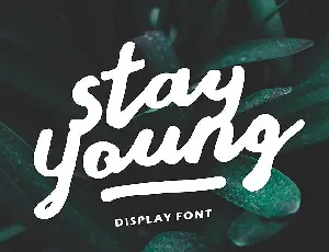 Stay Young Script font