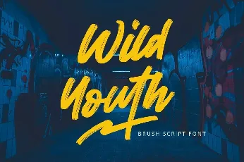 Wild Youth font