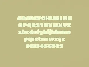 Havana Bold Sans Serif font