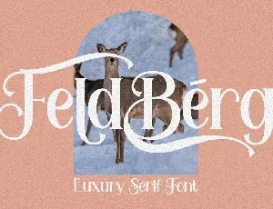 Feldberg font