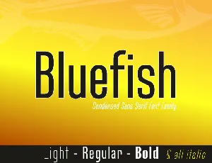 Bluefish Demo font