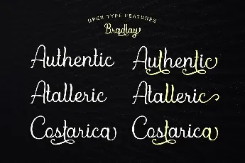 Bradlay Demo font