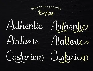 Bradlay Demo font