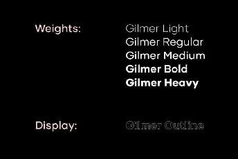 Gilmer Sans Family font