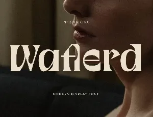 Waflerd DEMO VERSION font