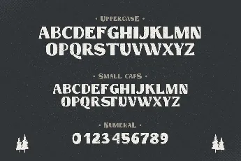 Hastag Vintage font