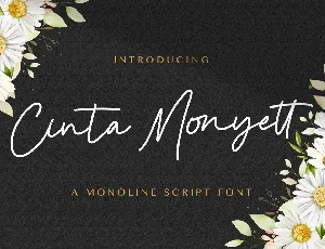 Cinta Monyett font