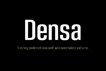 Densa Family font