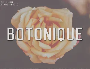 Botonique font